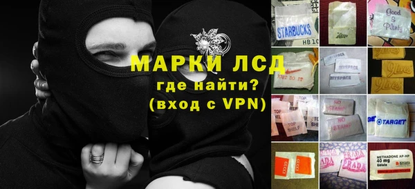 дмт Алзамай