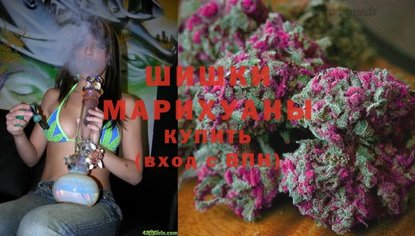 дмт Алзамай