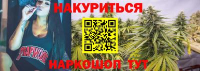 сатива Краснодар