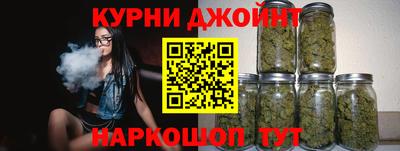 сатива Краснодар