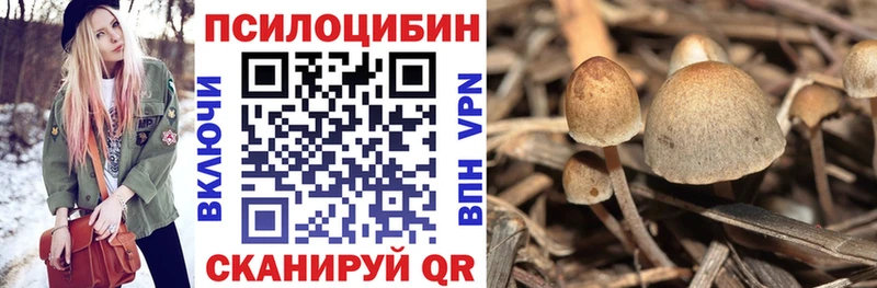 мега tor  Сорочинск  Псилоцибиновые грибы мухоморы 