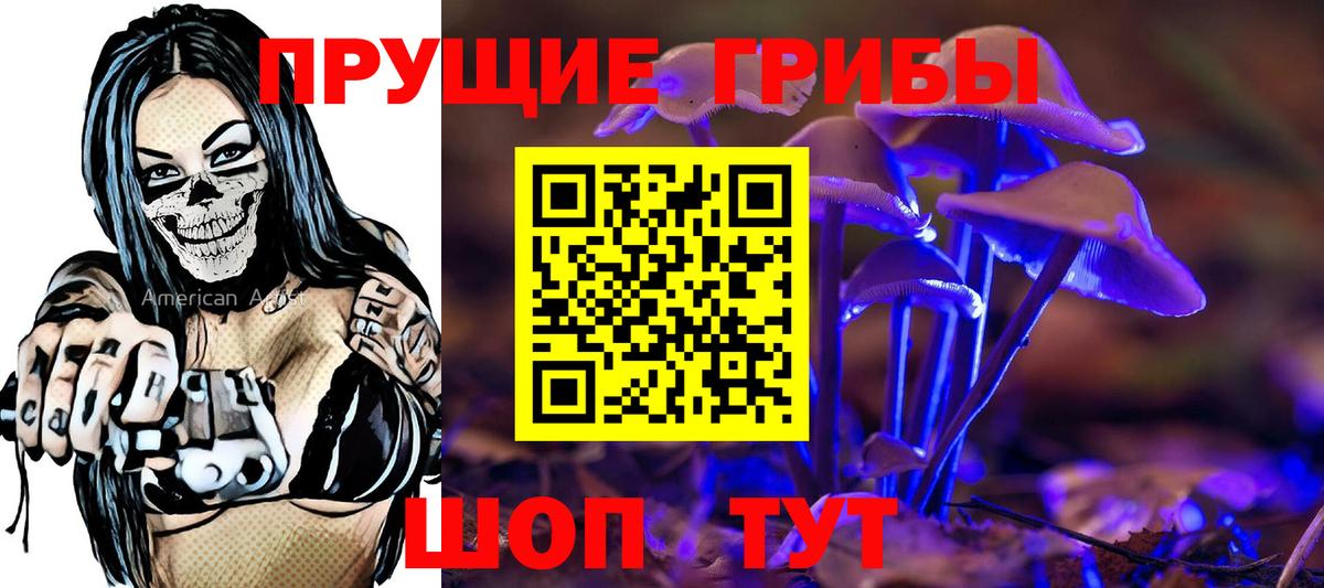 Сорочинск  Галлюциногенные грибы мицелий  Вход с VPN 
